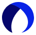 COROS AI logo